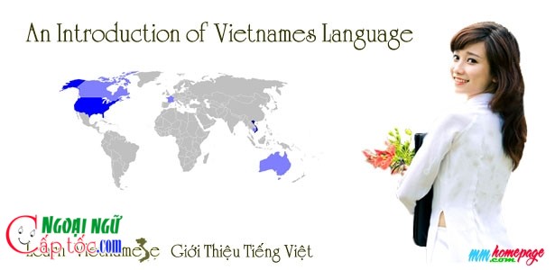 An introduction of Vietnamese language